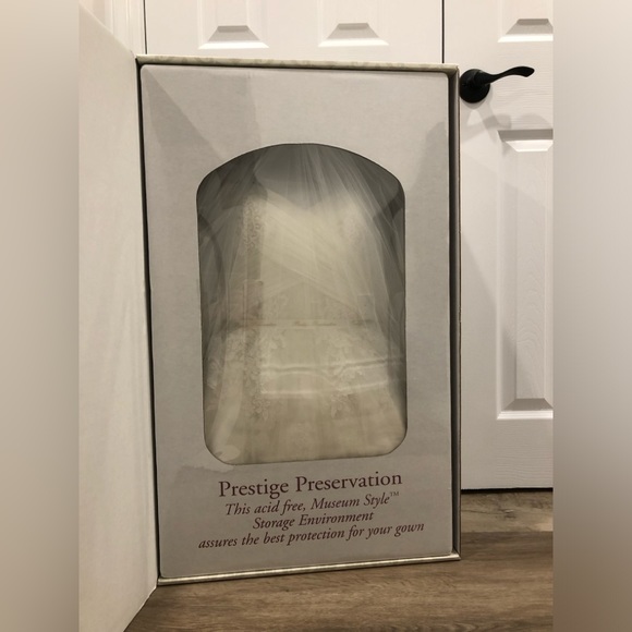 Pronovias Wedding Dress (US 4) - Picture 11 of 11